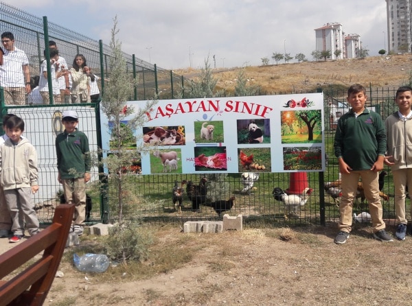 YAŞAYAN SINIFIMIZI GÖRDÜNÜZ MÜ? 