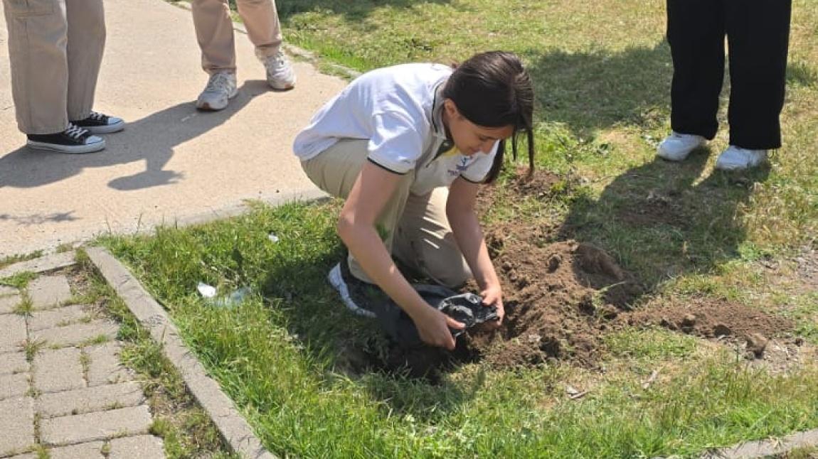 Okulumuzda Ağaç Dikme Etkinliği Düzenlendi